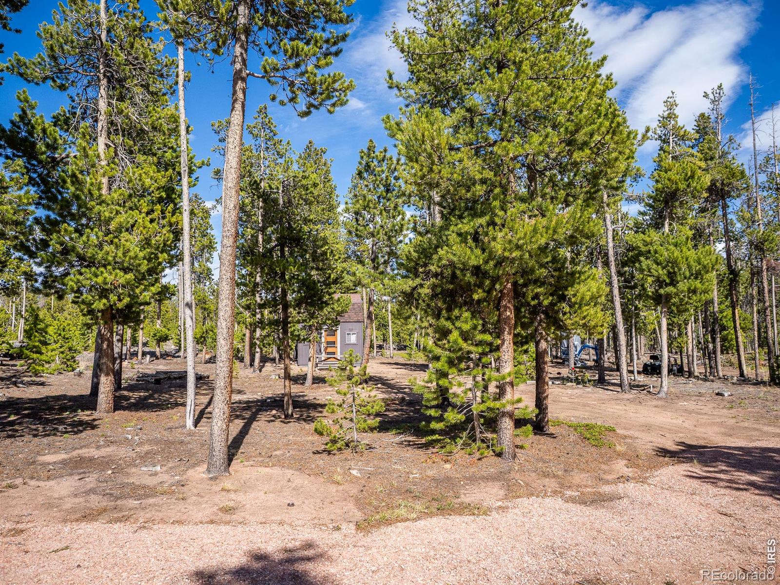 297 Manso Way Red Feather Lakes CO 80545