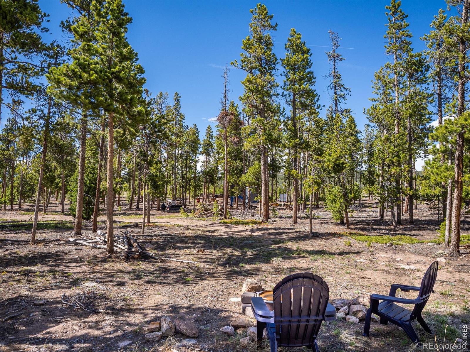297 Manso Way Red Feather Lakes CO 80545