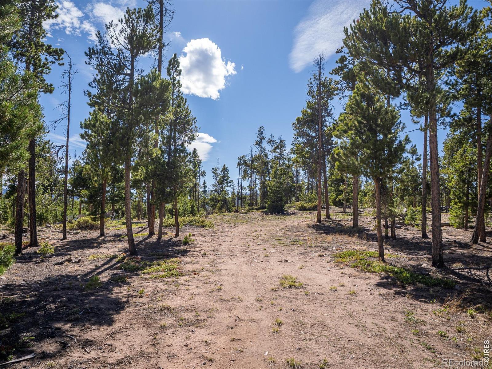 297 Manso Way Red Feather Lakes CO 80545
