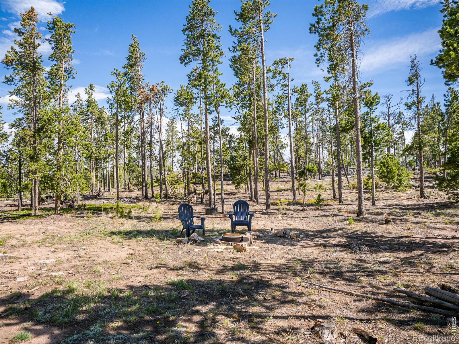 297 Manso Way Red Feather Lakes CO 80545