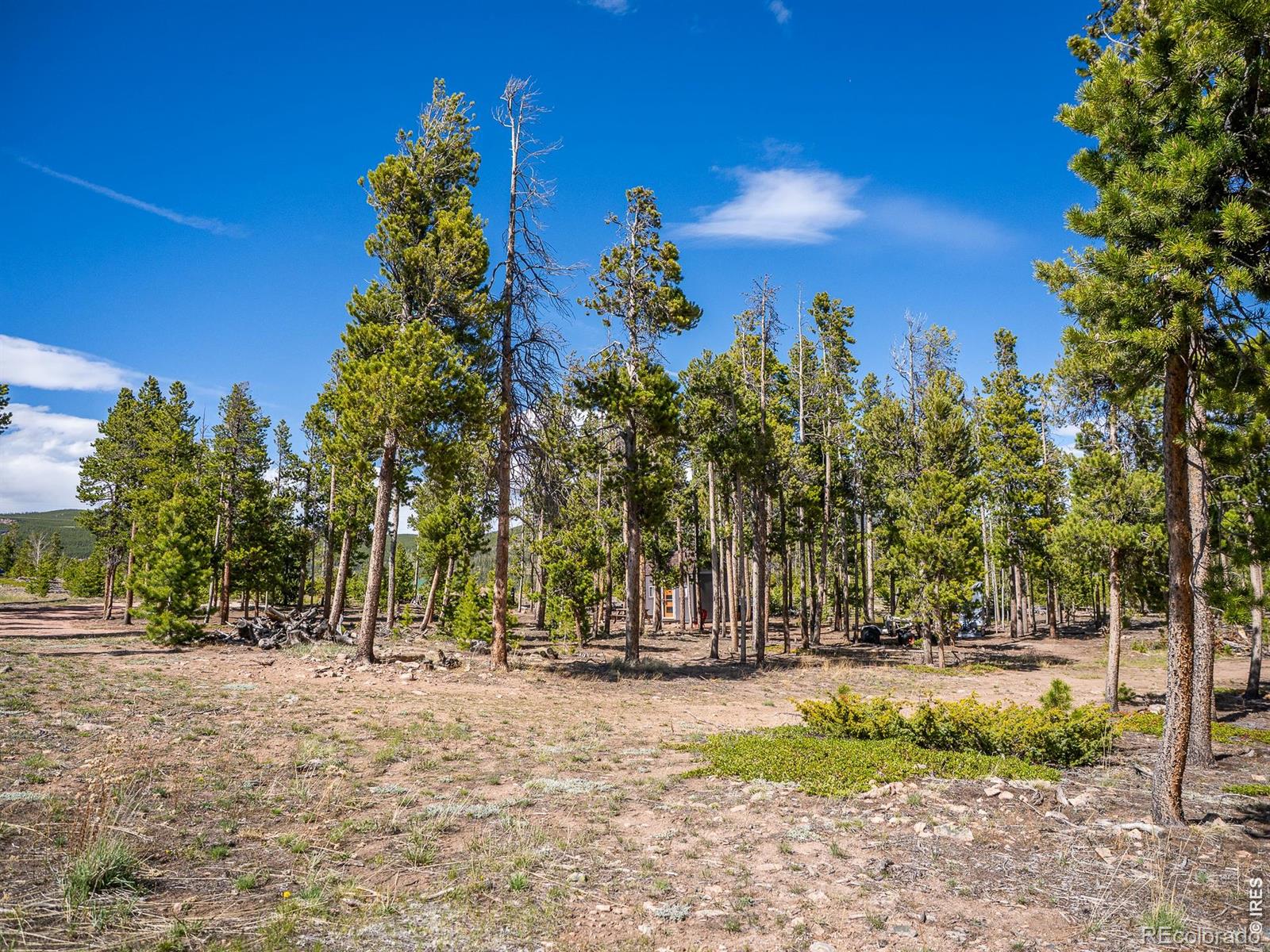 297 Manso Way Red Feather Lakes CO 80545