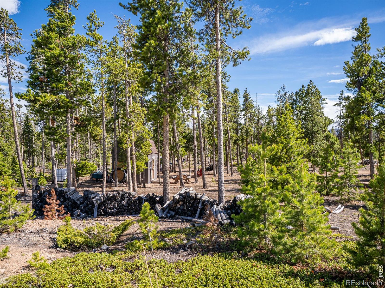 297 Manso Way Red Feather Lakes CO 80545