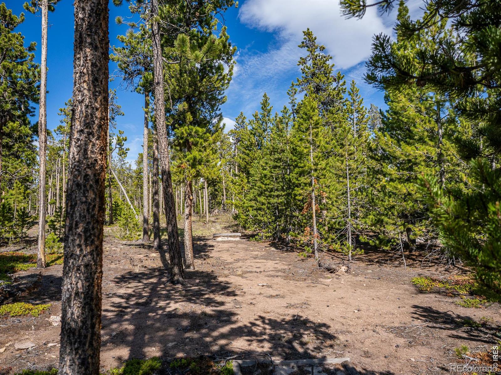 297 Manso Way Red Feather Lakes CO 80545