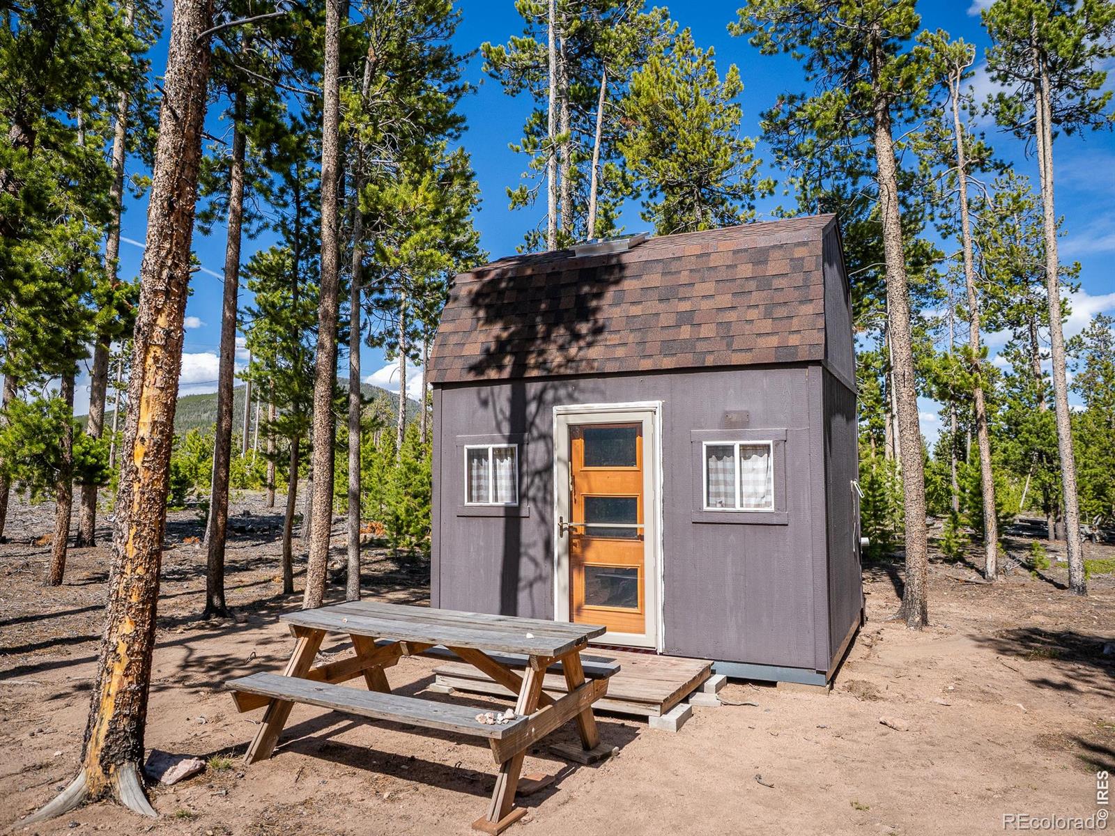 297 Manso Way Red Feather Lakes CO 80545