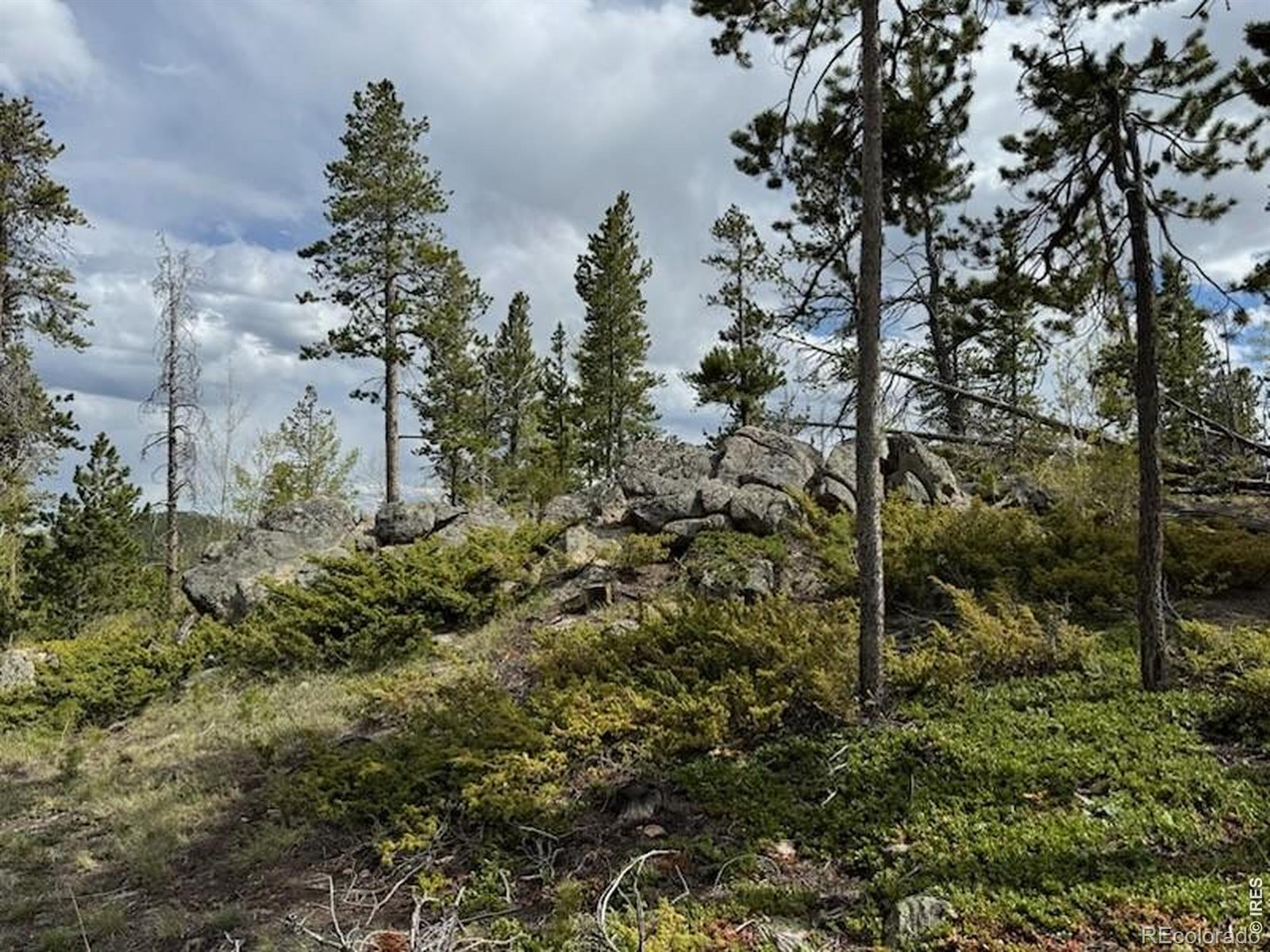 297 Manso Way Red Feather Lakes CO 80545