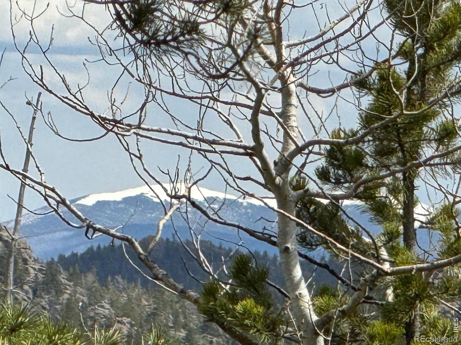 297 Manso Way Red Feather Lakes CO 80545