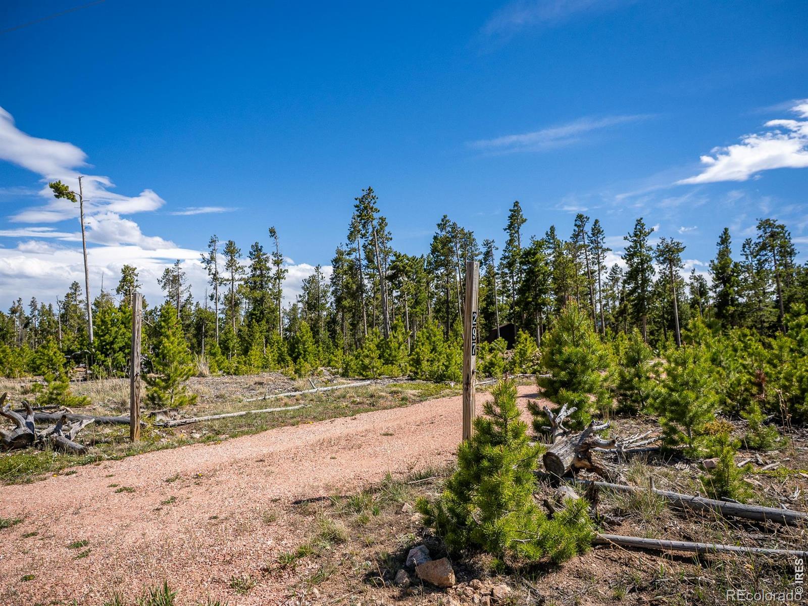 297 Manso Way Red Feather Lakes CO 80545