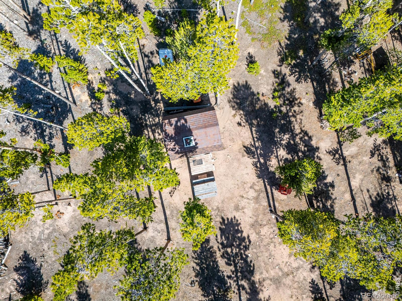 297 Manso Way Red Feather Lakes CO 80545
