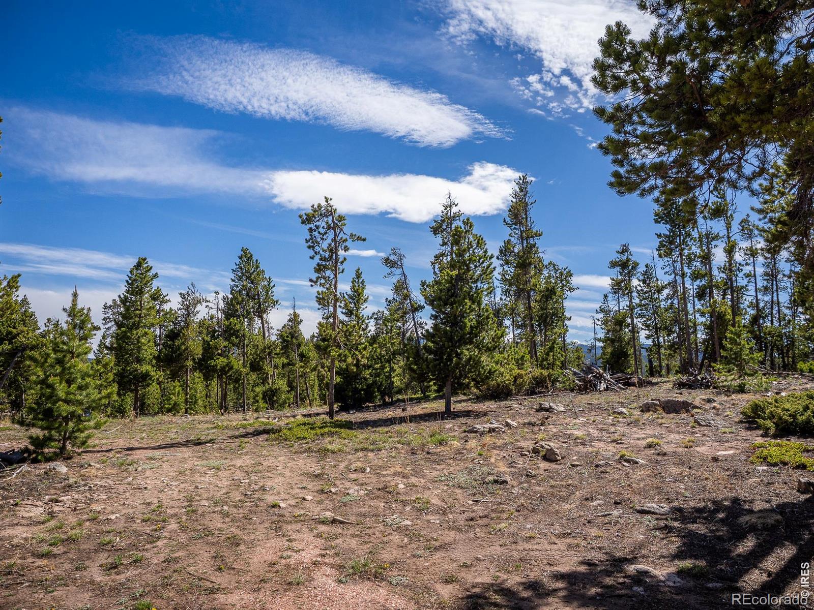 297 Manso Way Red Feather Lakes CO 80545