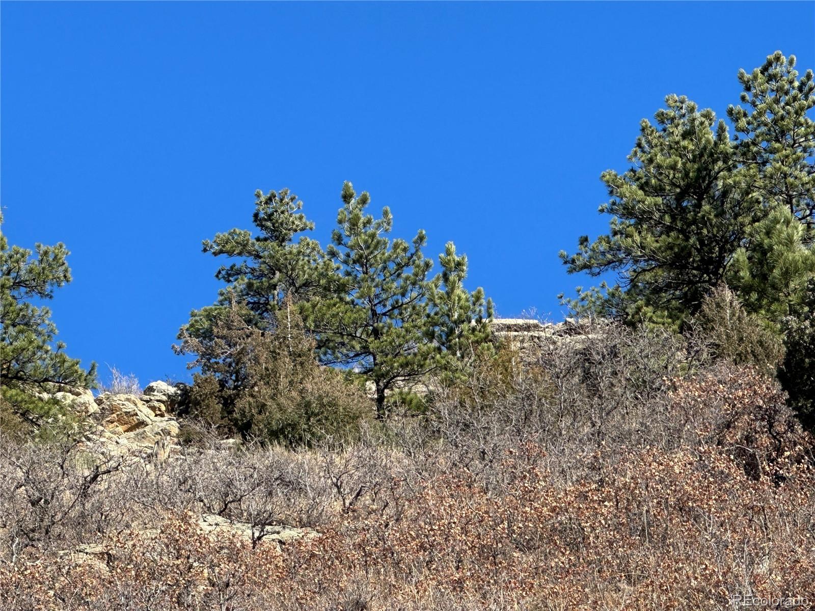 6668 Old Ranch Trail Littleton CO 80125