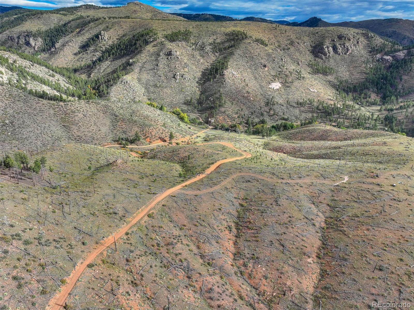 770 Holmes Gulch Way Bailey CO 80421