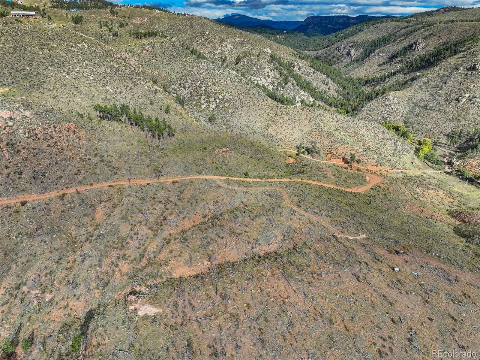 770 Holmes Gulch Way Bailey CO 80421