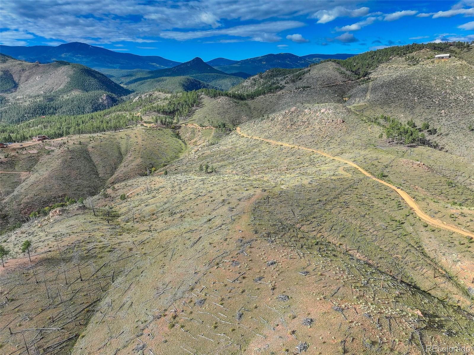 770 Holmes Gulch Way Bailey CO 80421