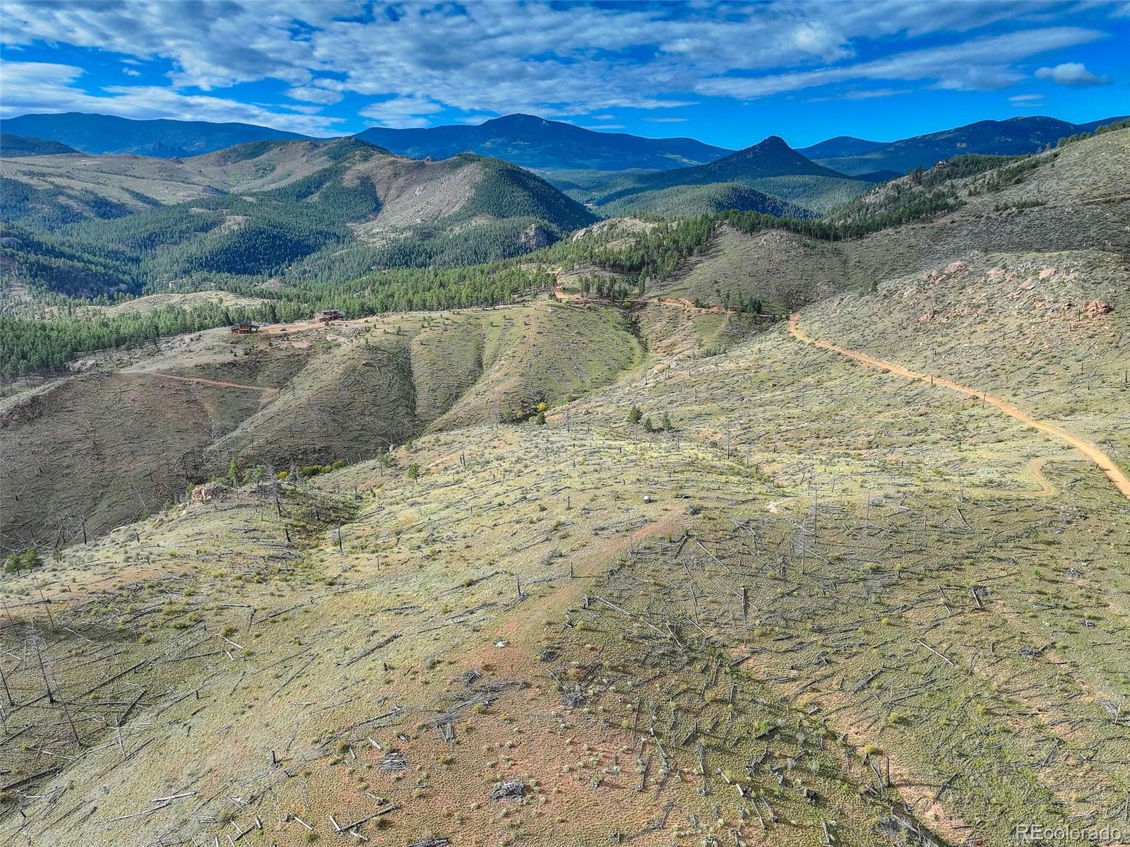770 Holmes Gulch Way Bailey CO 80421