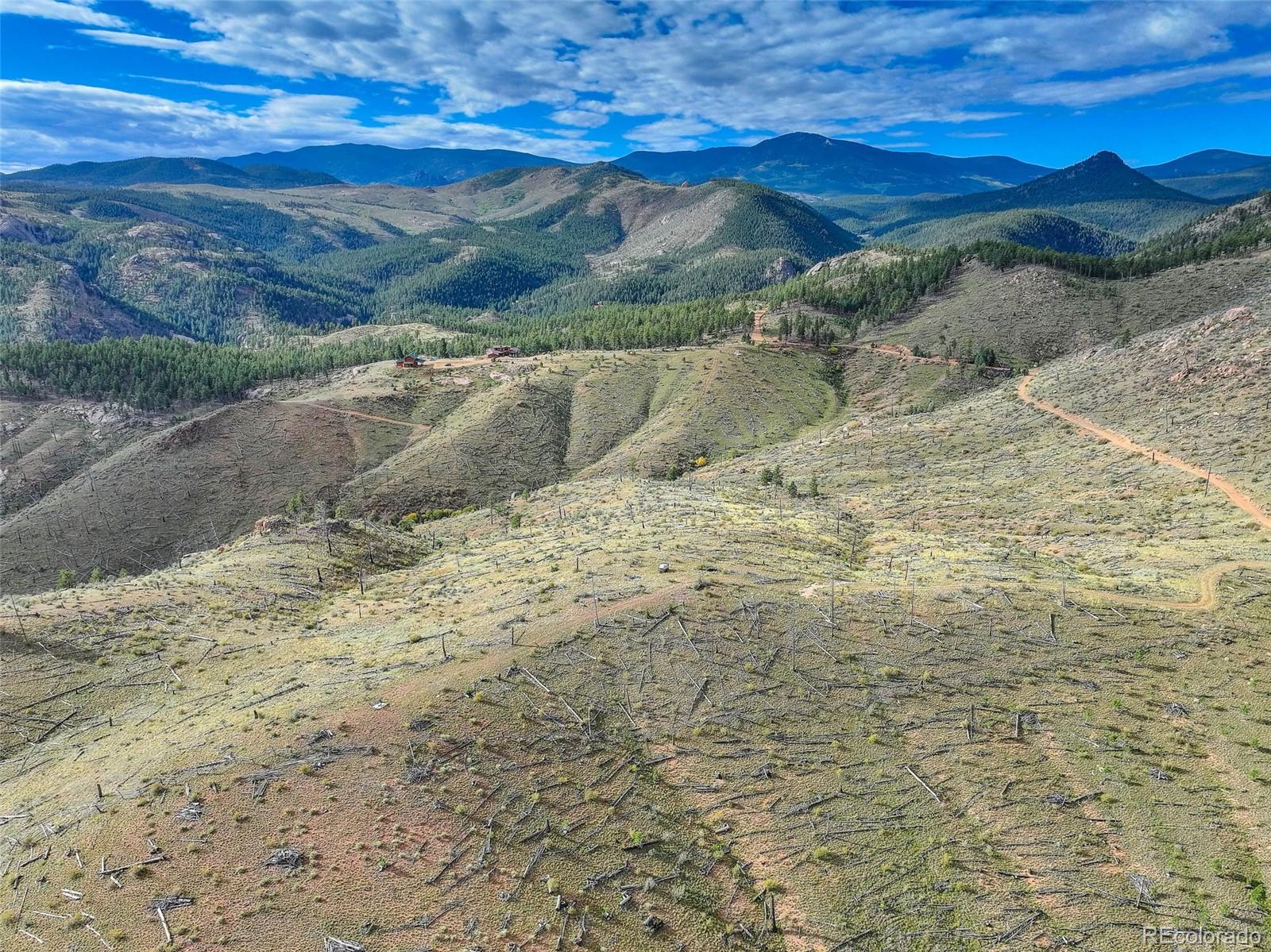 770 Holmes Gulch Way Bailey CO 80421