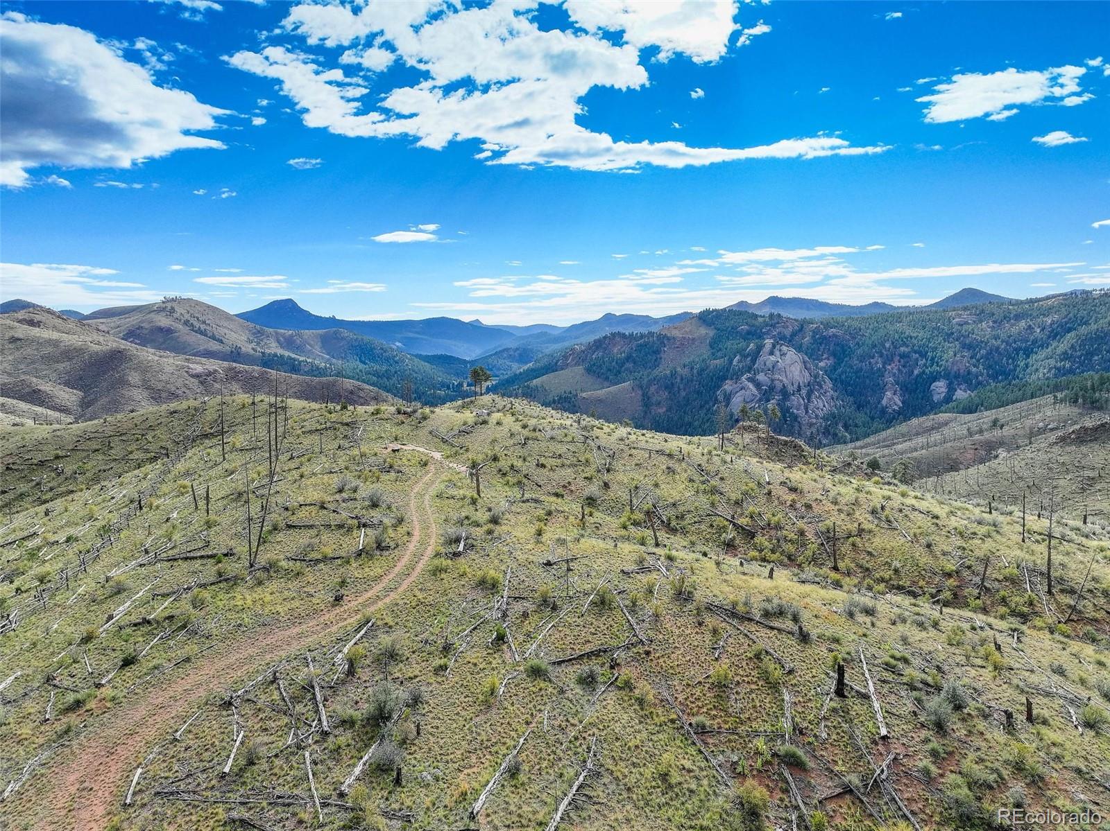 770 Holmes Gulch Way Bailey CO 80421