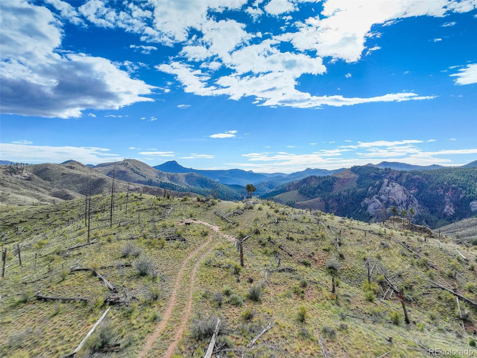 770 Holmes Gulch Way Bailey CO 80421