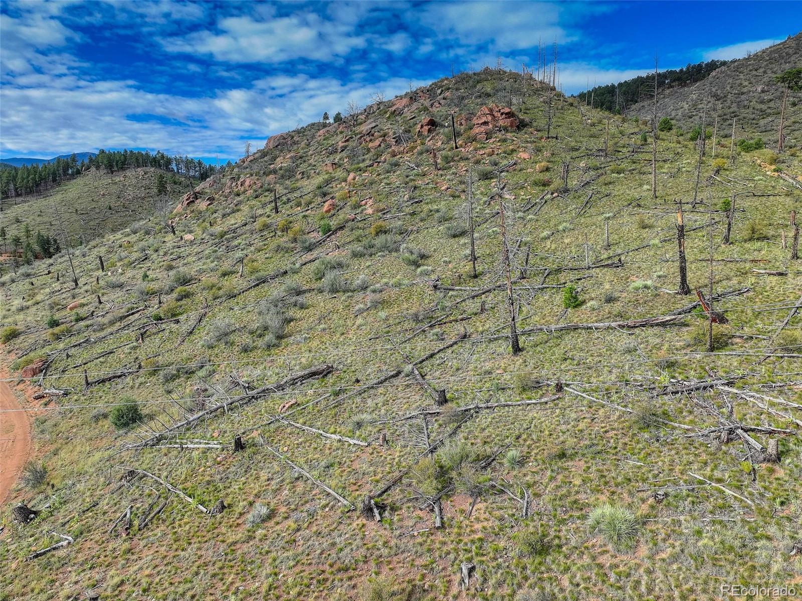 770 Holmes Gulch Way Bailey CO 80421