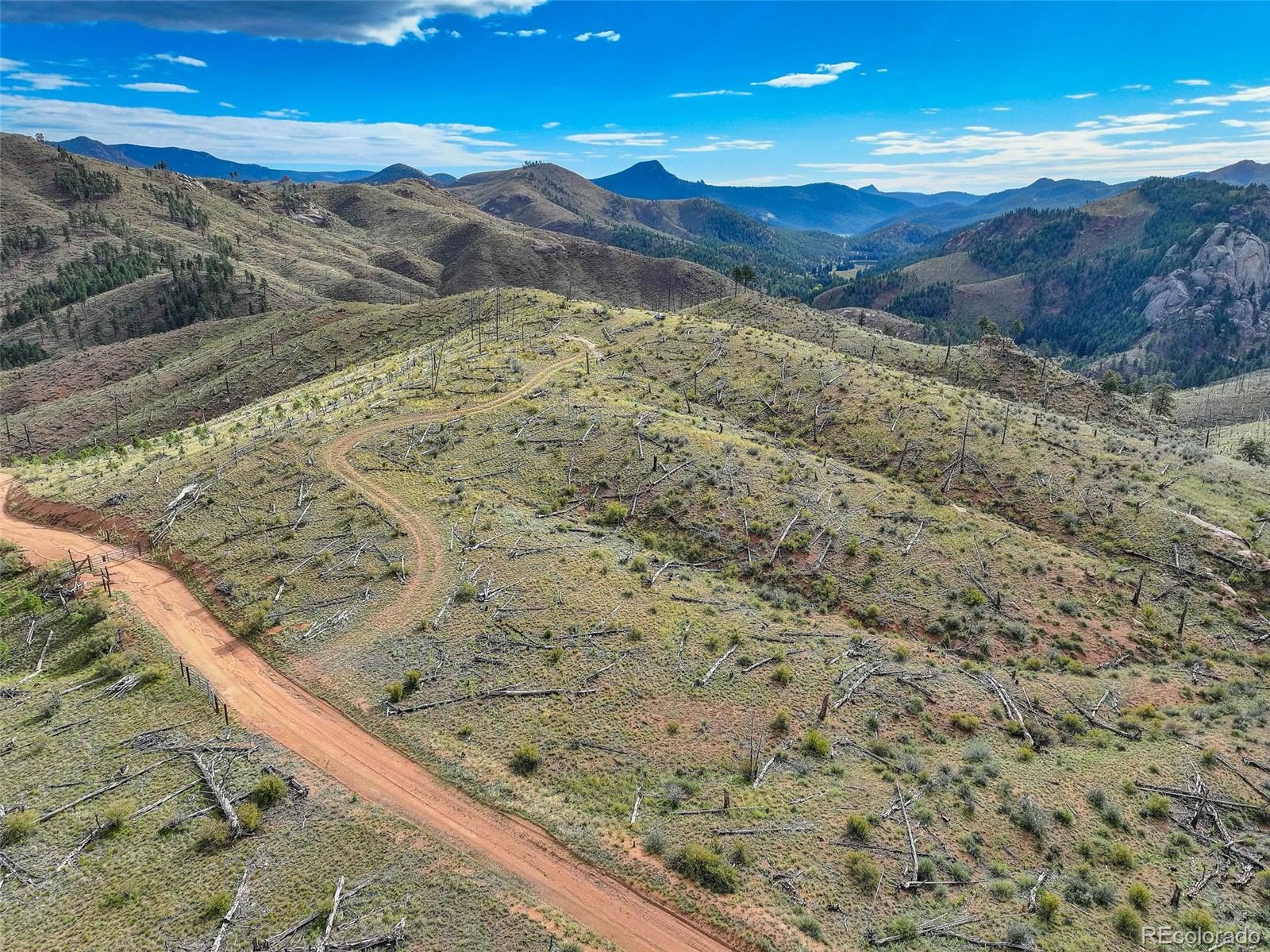 770 Holmes Gulch Way Bailey CO 80421