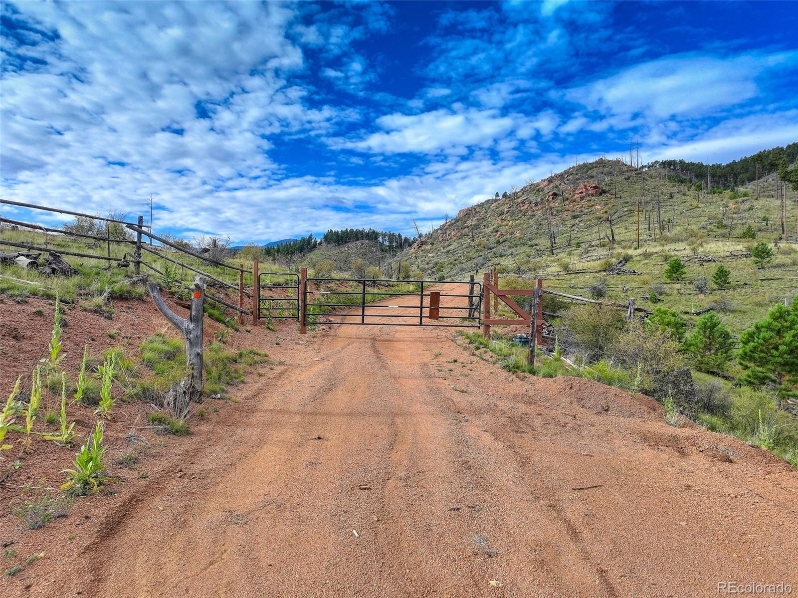 770 Holmes Gulch Way Bailey CO 80421
