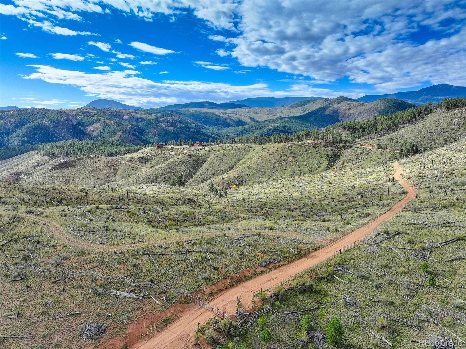 770 Holmes Gulch Way Bailey CO 80421