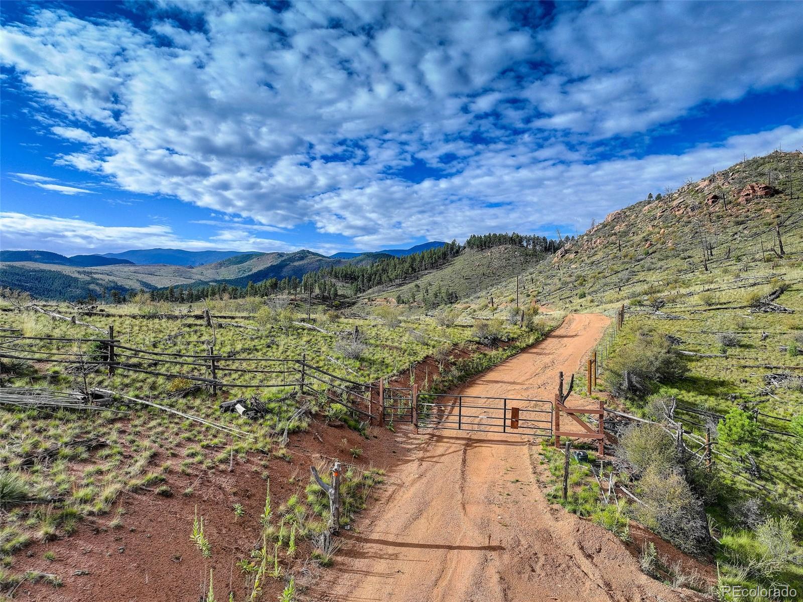 770 Holmes Gulch Way Bailey CO 80421
