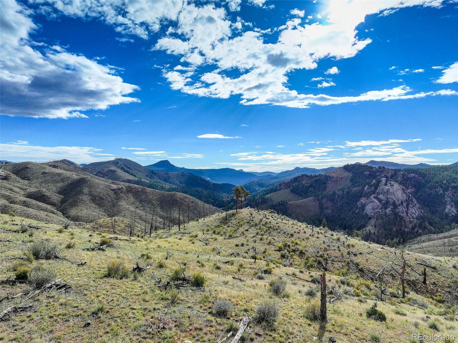 770 Holmes Gulch Way Bailey CO 80421
