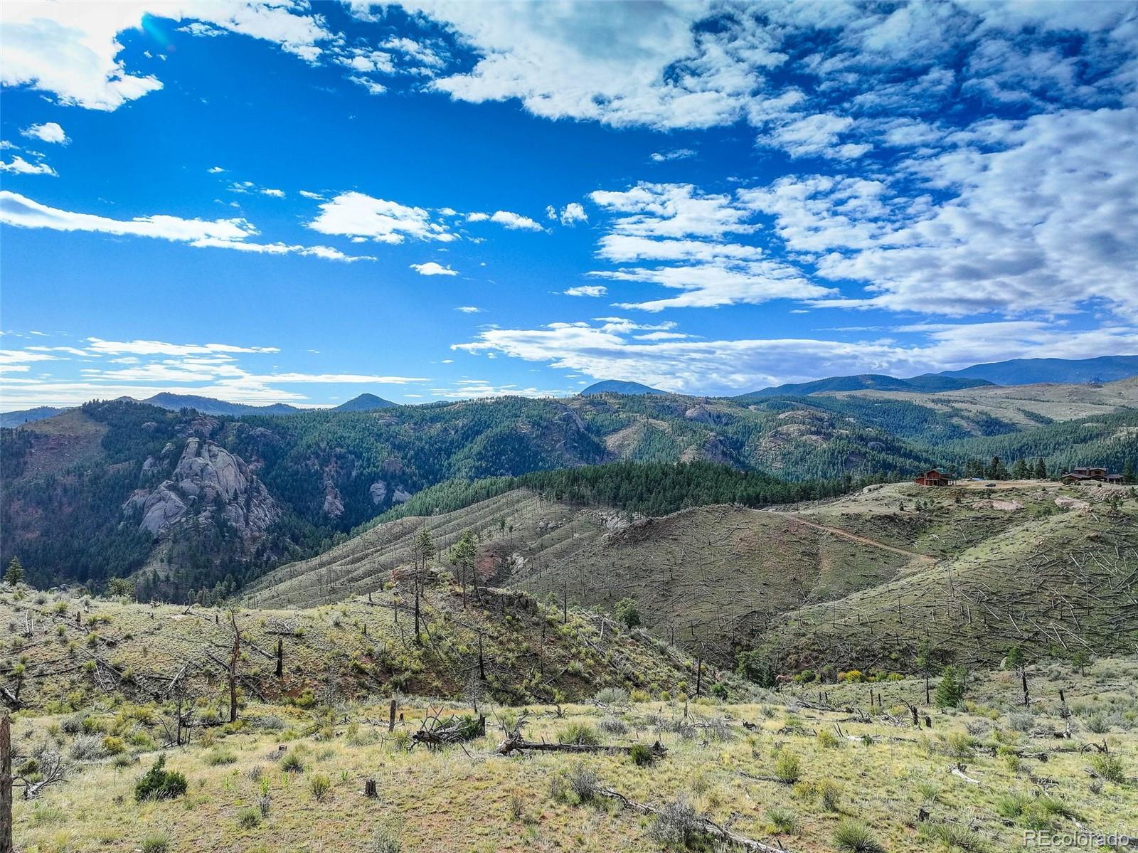 770 Holmes Gulch Way Bailey CO 80421