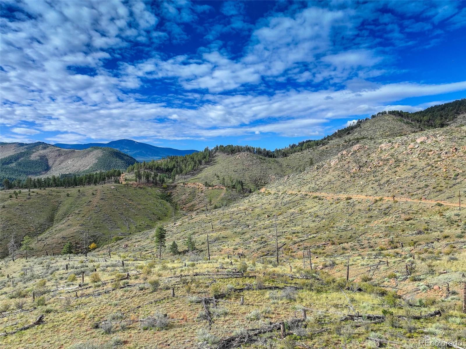 770 Holmes Gulch Way Bailey CO 80421
