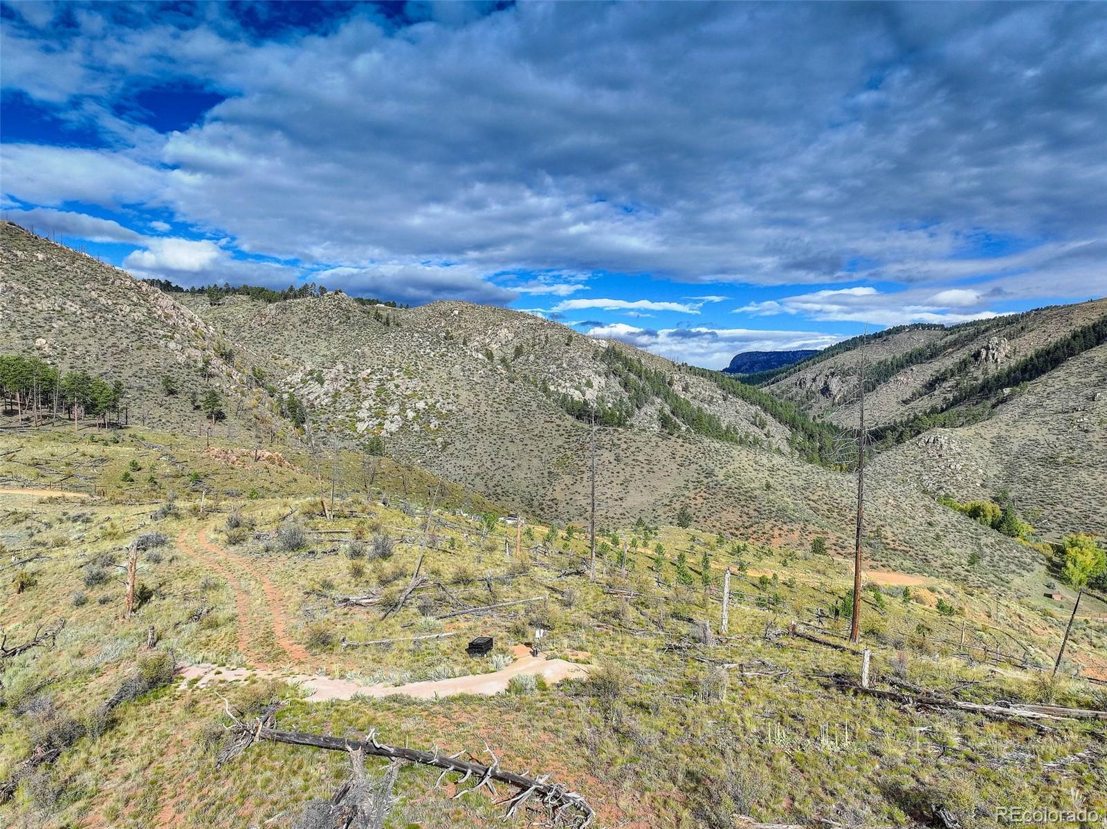 770 Holmes Gulch Way Bailey CO 80421
