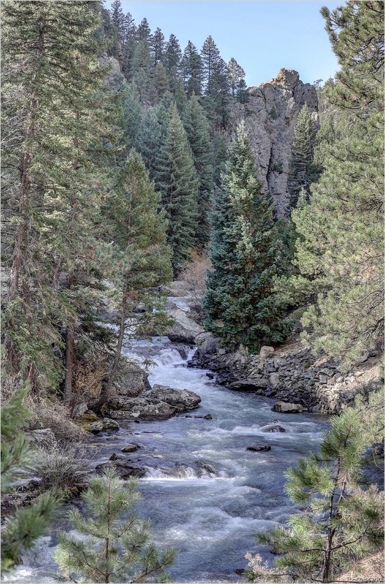 770 Holmes Gulch Way Bailey CO 80421