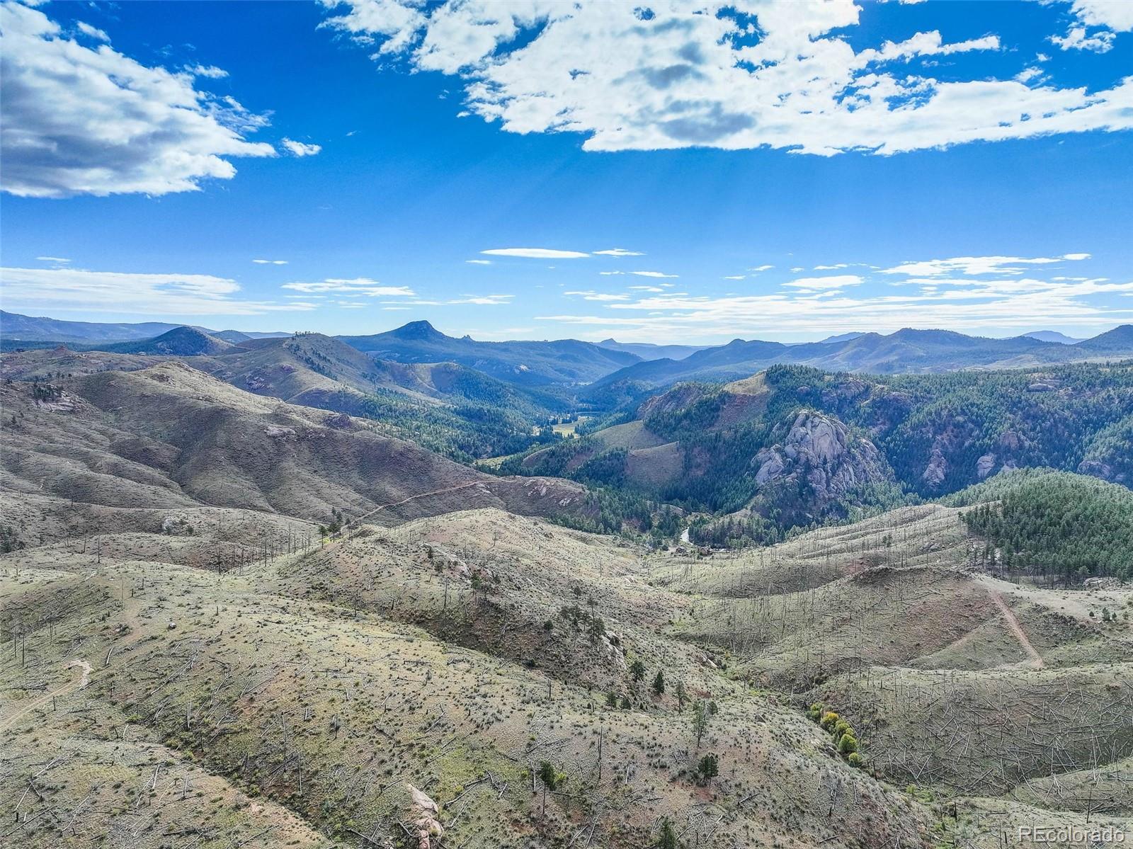 770 Holmes Gulch Way Bailey CO 80421