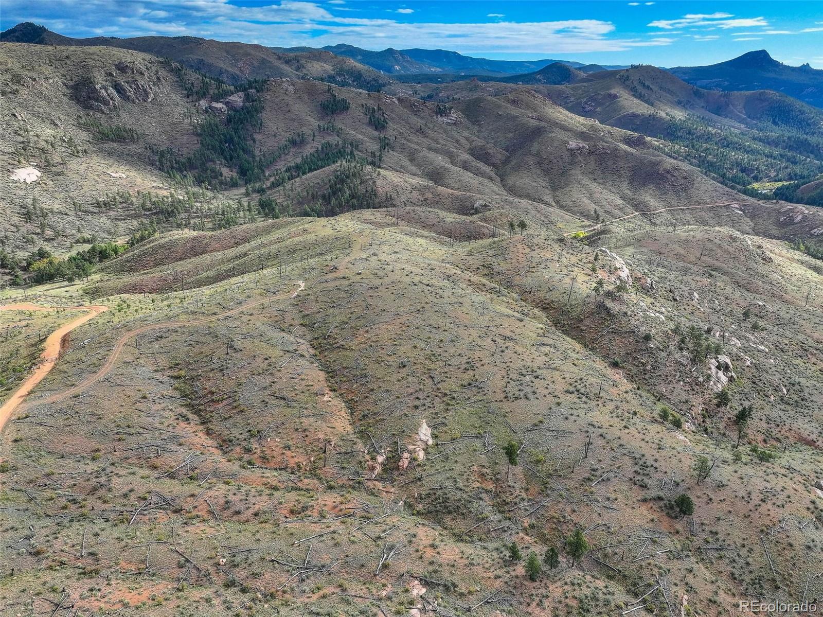 770 Holmes Gulch Way Bailey CO 80421