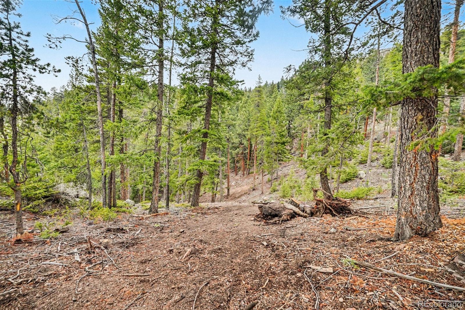 7141 Timber Trail Road Evergreen CO 80439