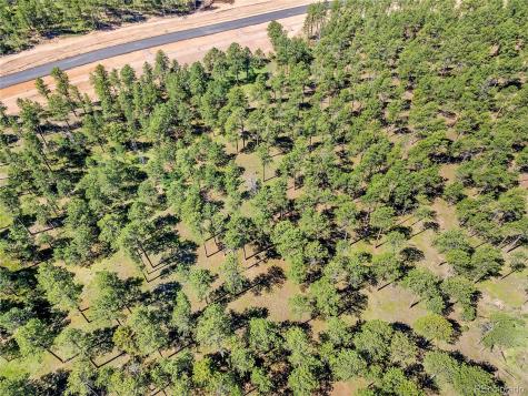 14310 Allen Ranch Road Colorado Springs CO 80908