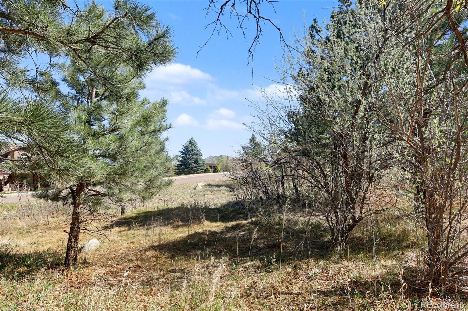 135 Chantrey Court Colorado Springs CO 80906