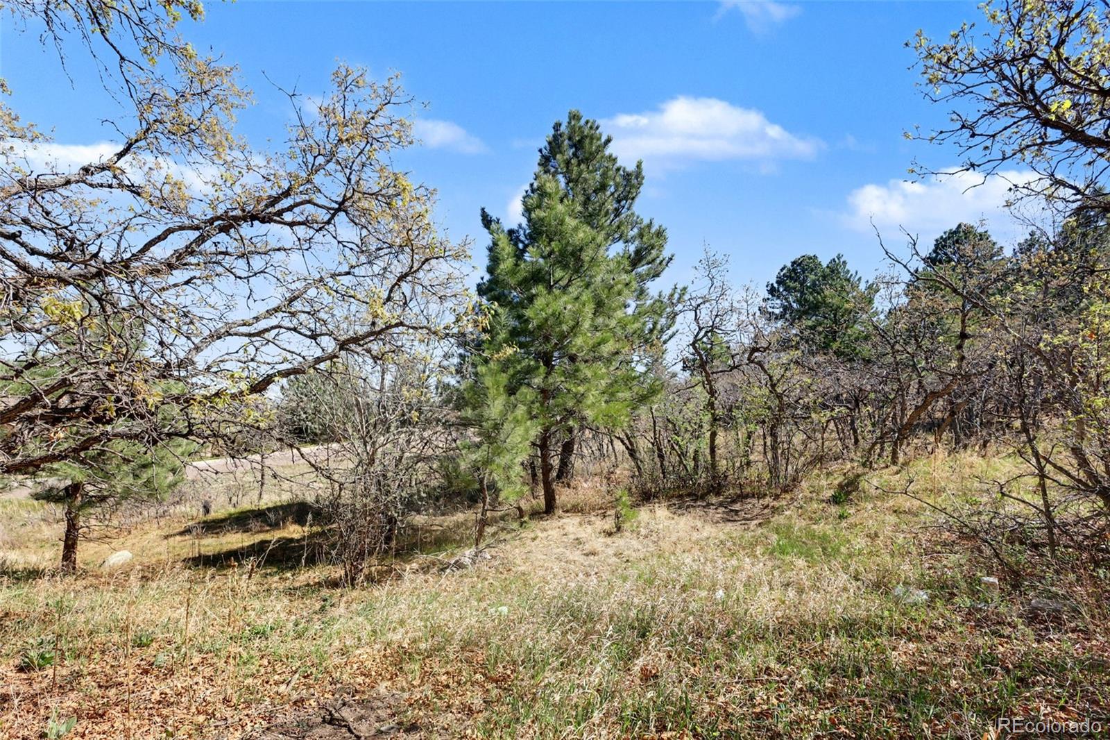 135 Chantrey Court Colorado Springs CO 80906