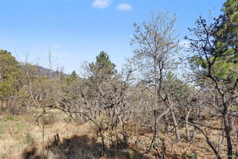 135 Chantrey Court Colorado Springs CO 80906