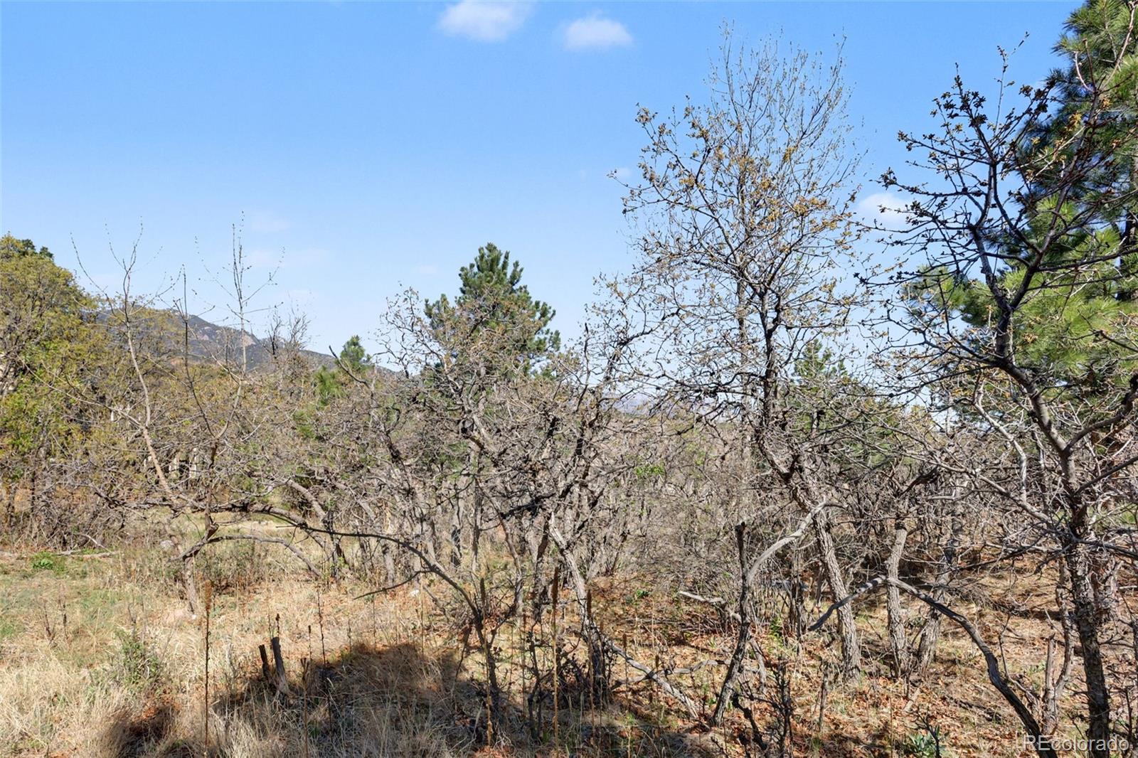 135 Chantrey Court Colorado Springs CO 80906