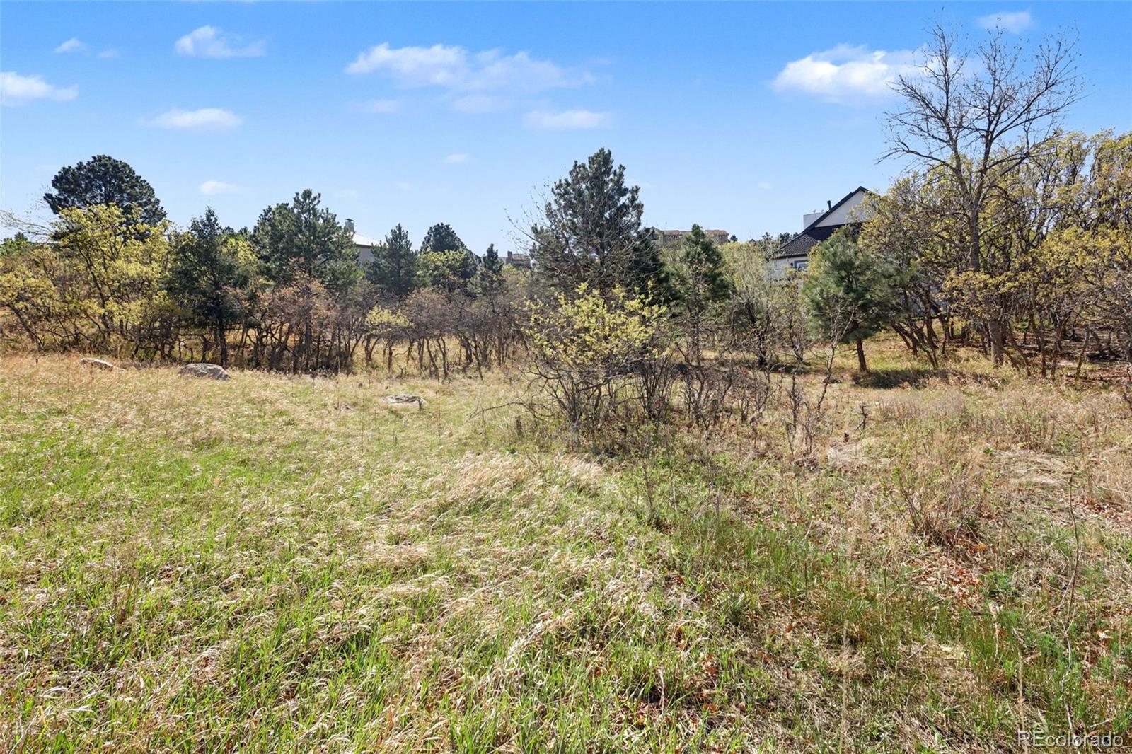 135 Chantrey Court Colorado Springs CO 80906