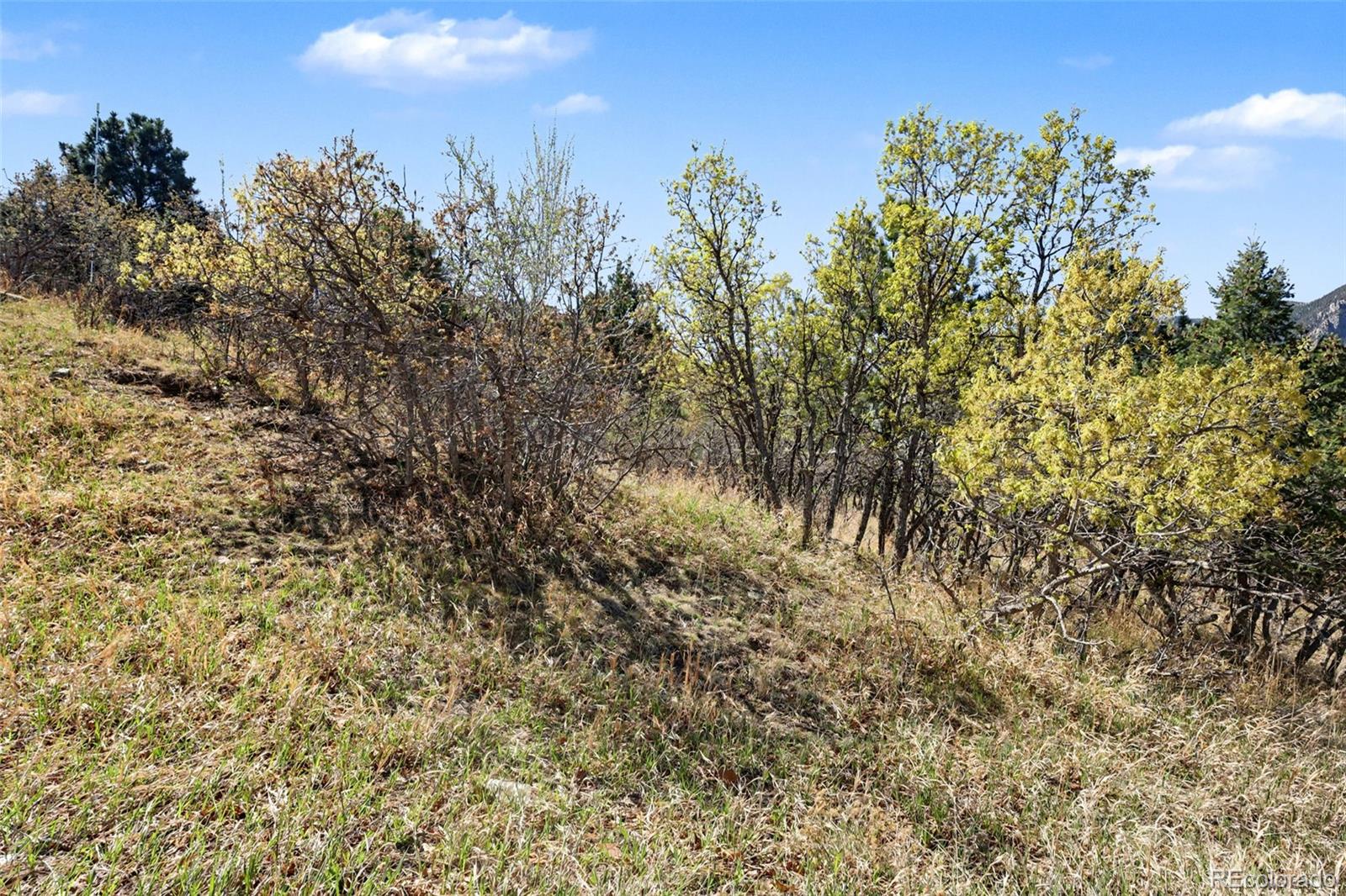 135 Chantrey Court Colorado Springs CO 80906