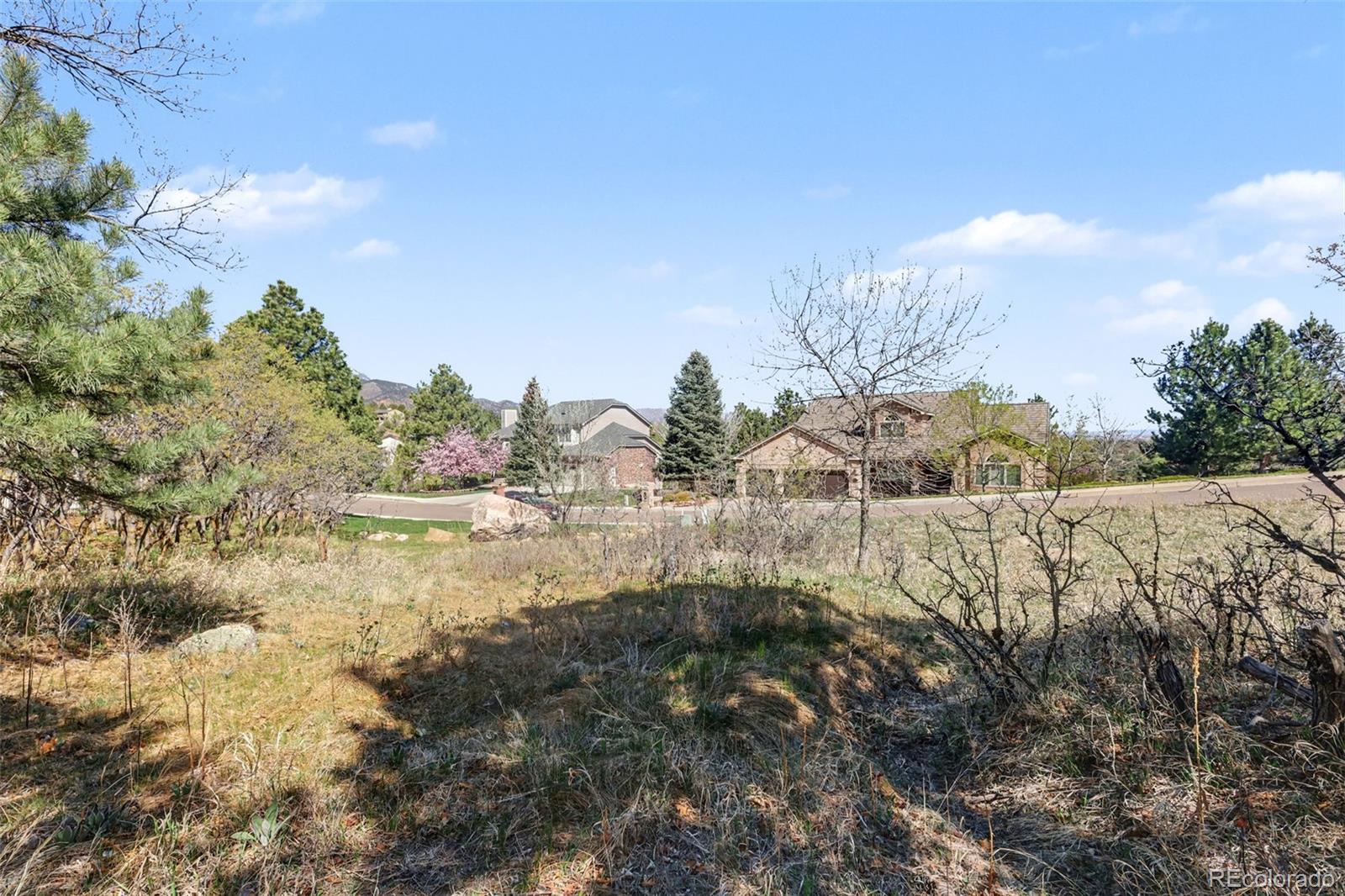 135 Chantrey Court Colorado Springs CO 80906