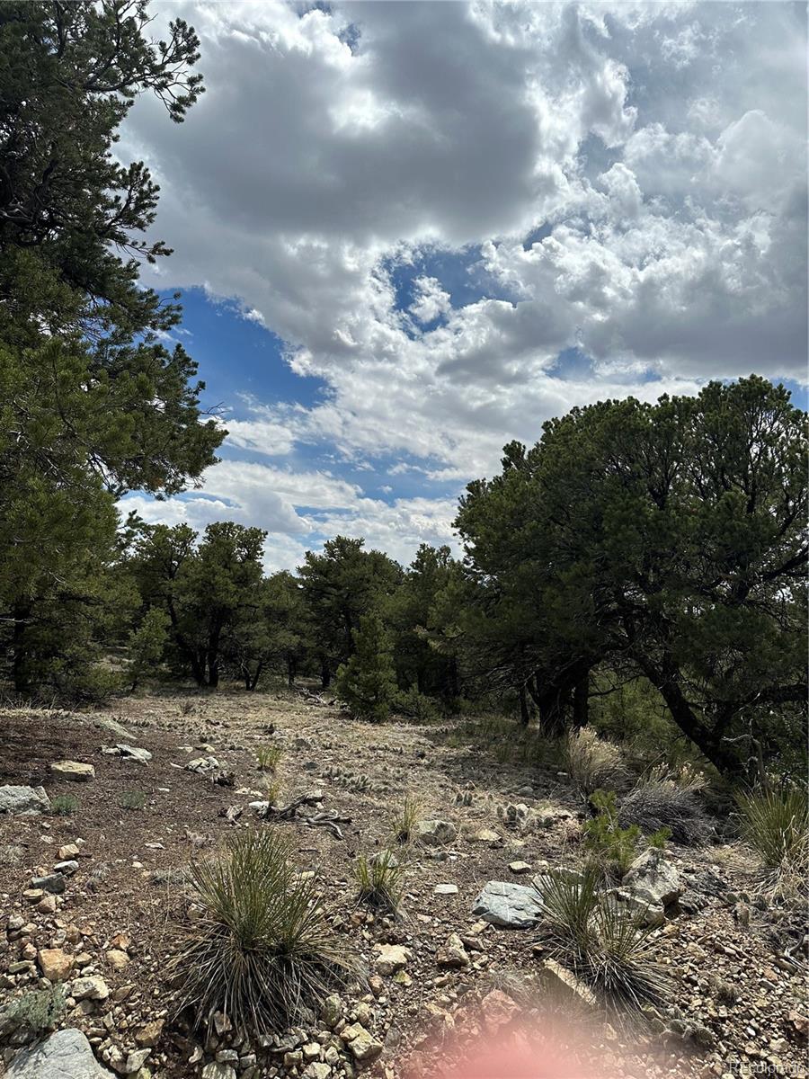 158 Cedar Ridge Road Mosca CO 81146