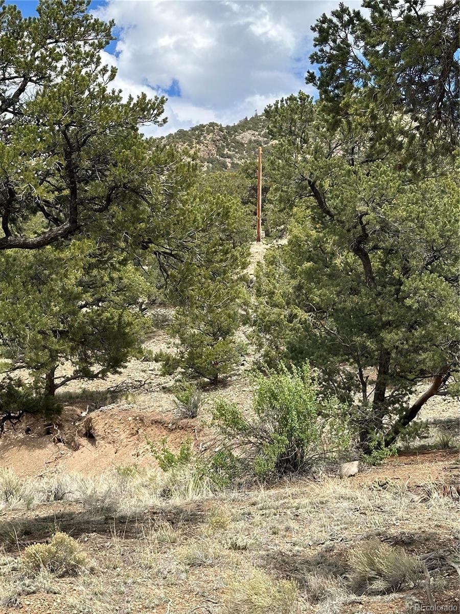158 Cedar Ridge Road Mosca CO 81146