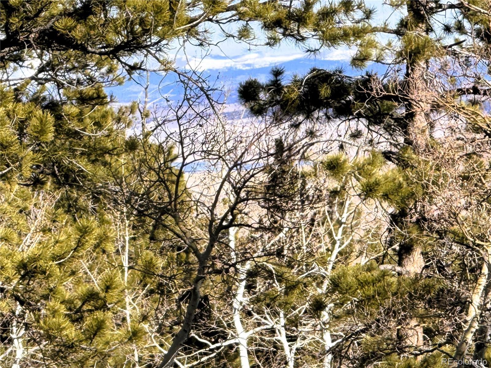 620 Wagon Wheel Road Hartsel CO 80449