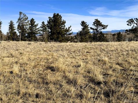 620 Wagon Wheel Road Hartsel CO 80449