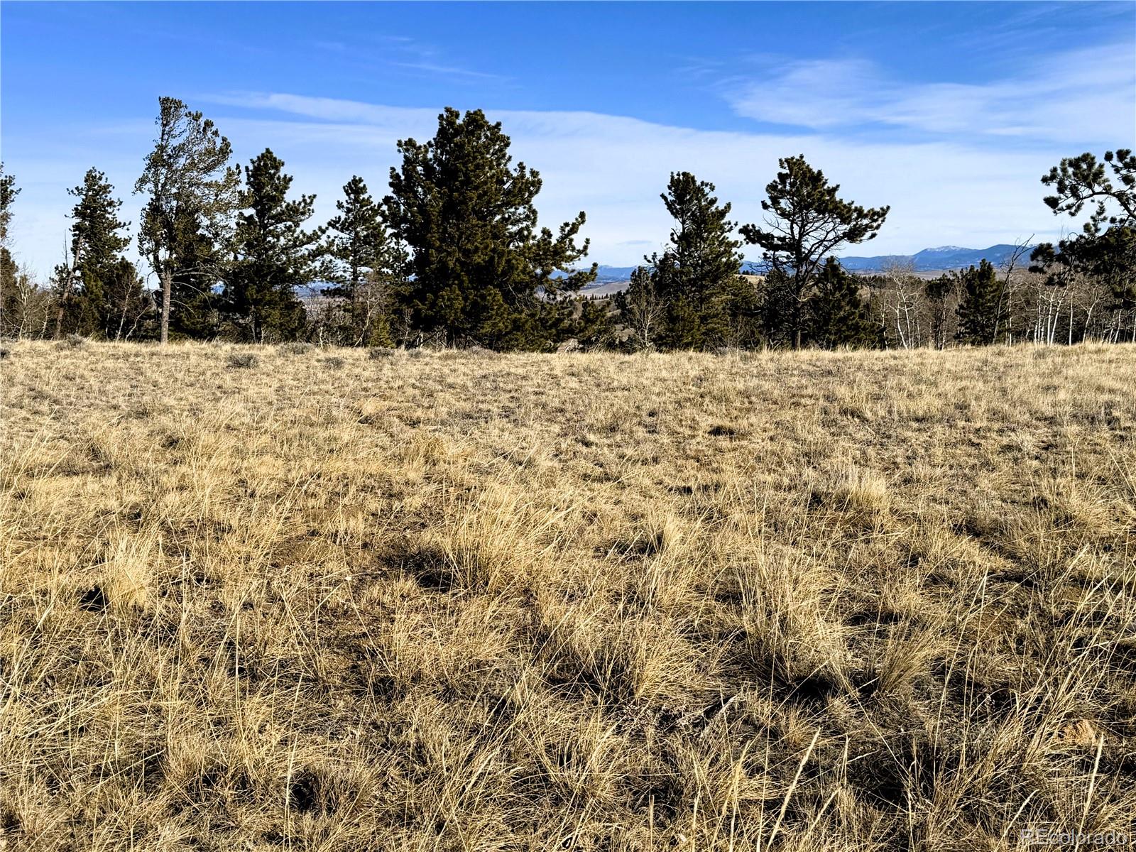 620 Wagon Wheel Road Hartsel CO 80449