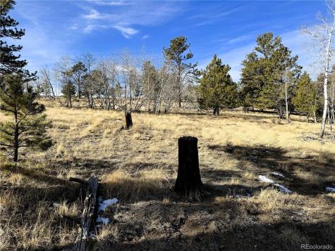 620 Wagon Wheel Road Hartsel CO 80449