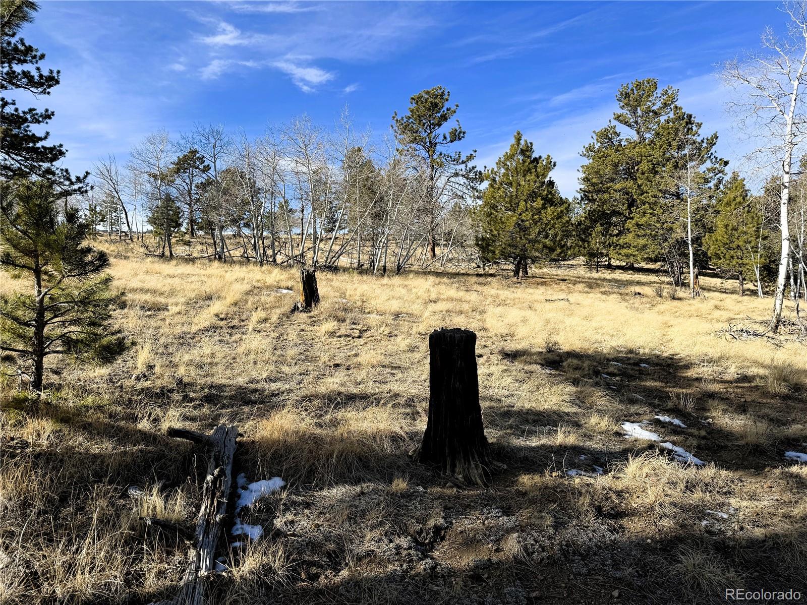 620 Wagon Wheel Road Hartsel CO 80449