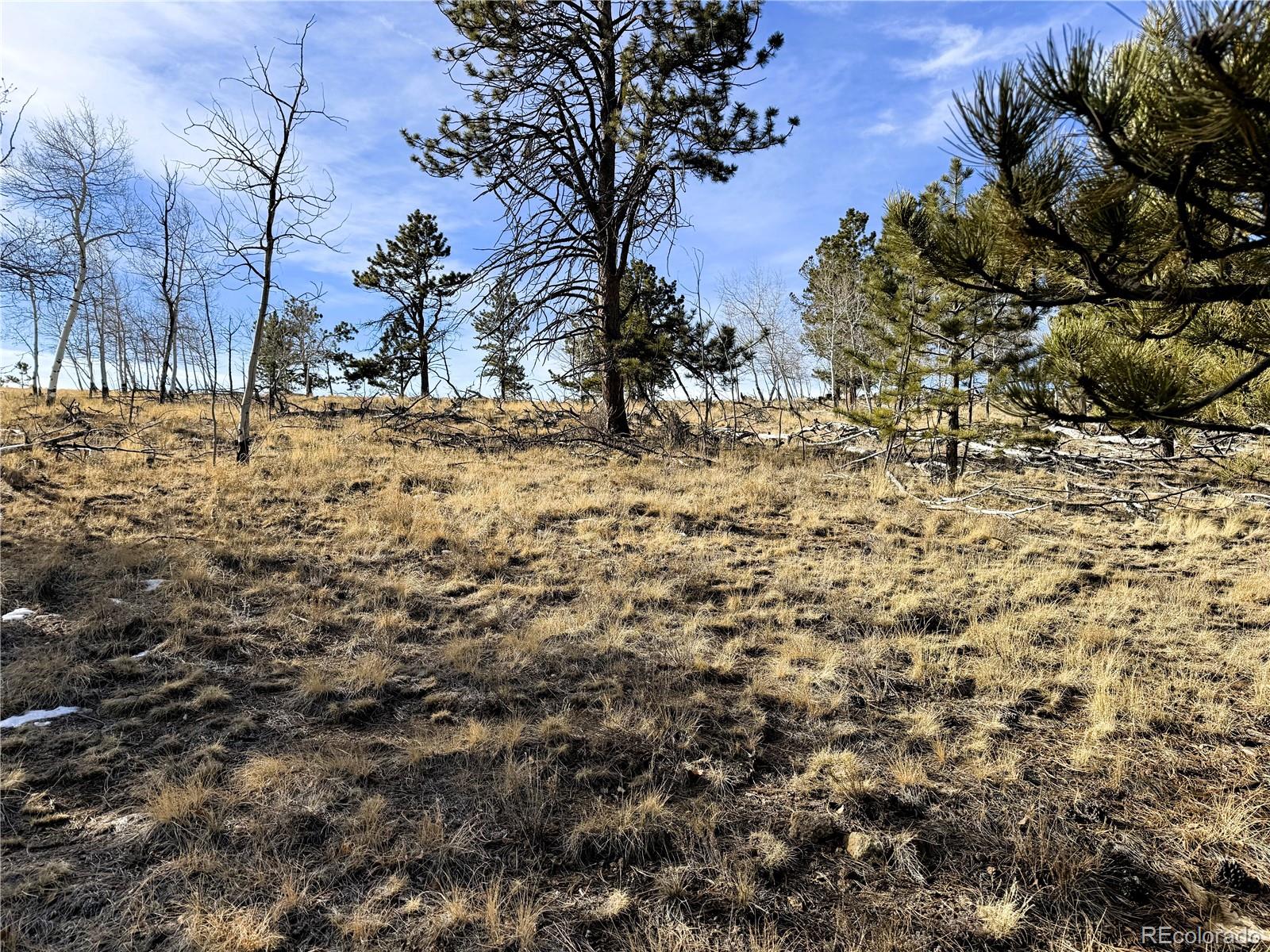 620 Wagon Wheel Road Hartsel CO 80449